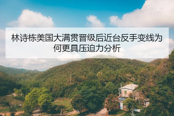 林诗栋美国大满贯晋级后近台反手变线为何更具压迫力分析
