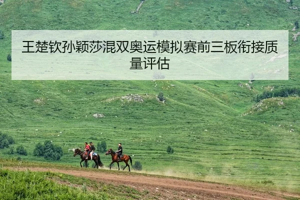 王楚钦孙颖莎混双奥运模拟赛前三板衔接质量评估
