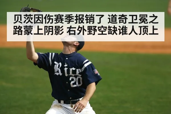 baseball outfielder catch
